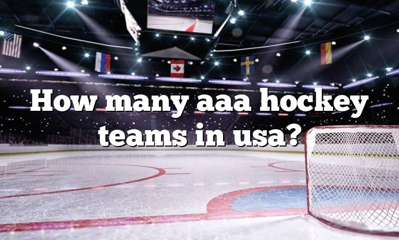 How many aaa hockey teams in usa?