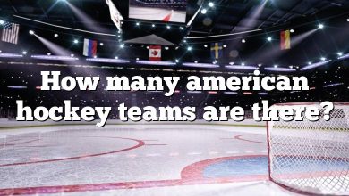 How many american hockey teams are there?