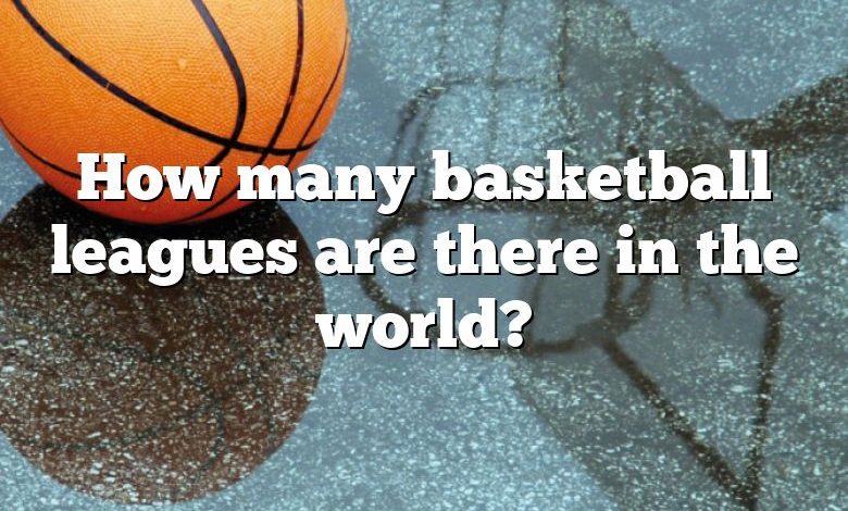 How many basketball leagues are there in the world?