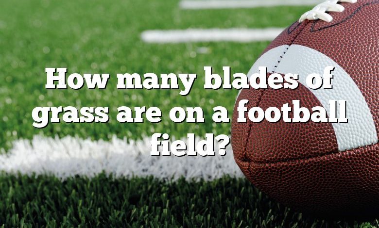 How many blades of grass are on a football field?