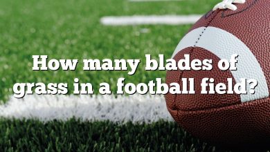 How many blades of grass in a football field?