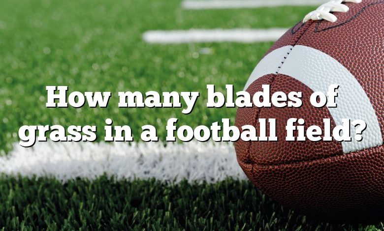 How many blades of grass in a football field?