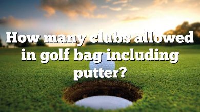 How many clubs allowed in golf bag including putter?