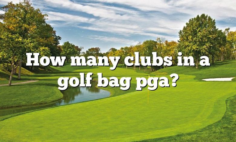 How many clubs in a golf bag pga?