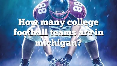 How many college football teams are in michigan?