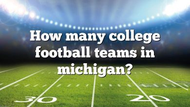 How many college football teams in michigan?