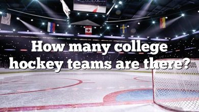 How many college hockey teams are there?