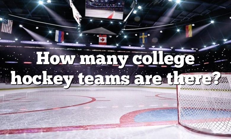 How many college hockey teams are there?