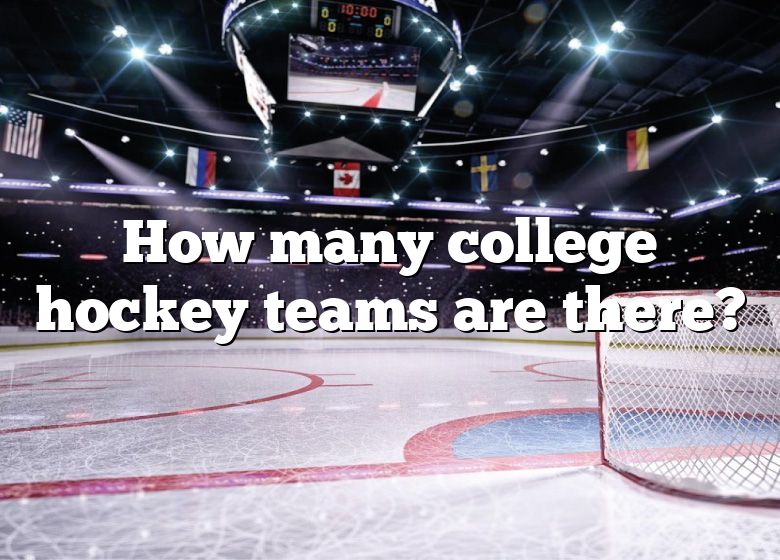 How Many College Hockey Teams Are There DNA Of SPORTS