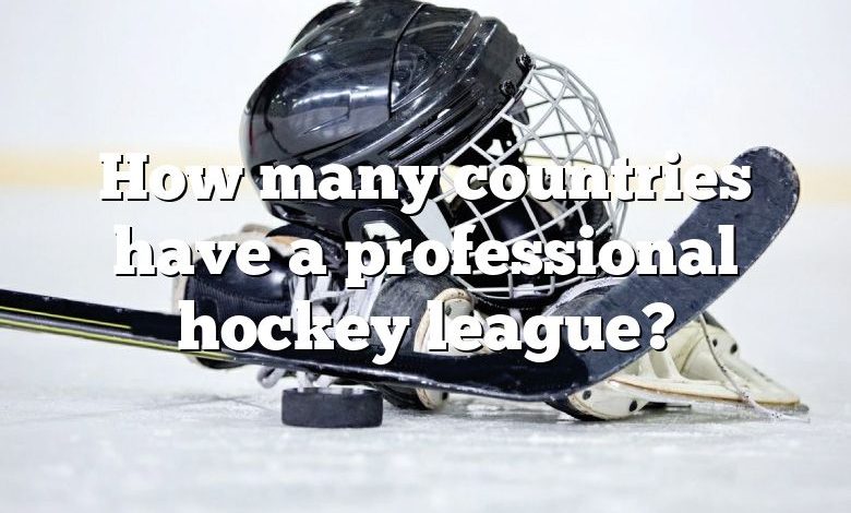 How many countries have a professional hockey league?