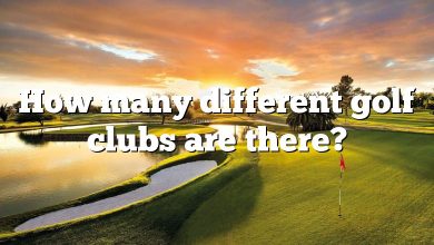 How many different golf clubs are there?