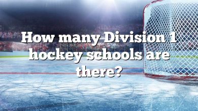 How many Division 1 hockey schools are there?