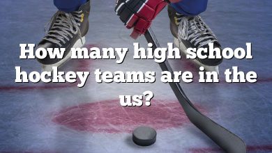 How many high school hockey teams are in the us?