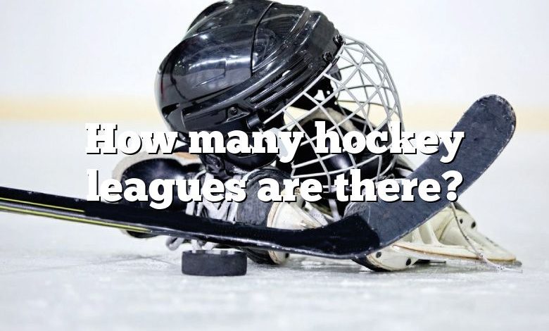 How many hockey leagues are there?