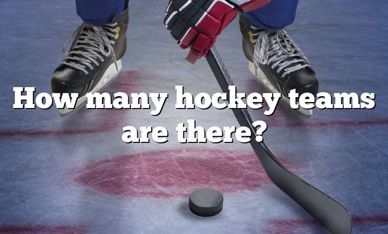 How many hockey teams are there?