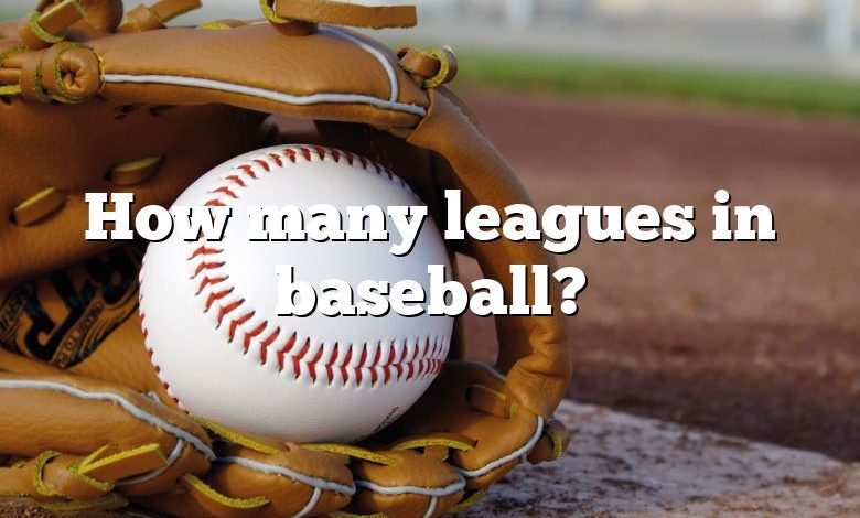 How many leagues in baseball?