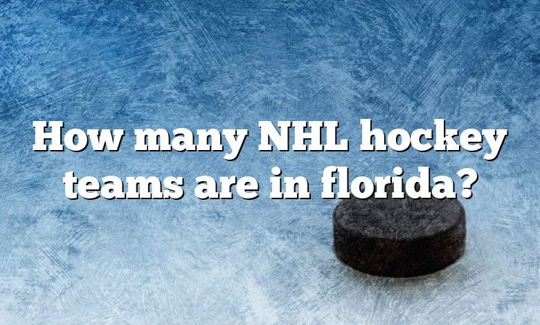 How many NHL hockey teams are in florida?