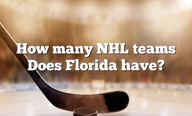 How many NHL teams Does Florida have?