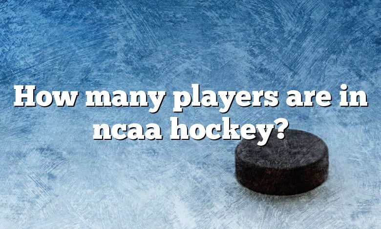 How many players are in ncaa hockey?