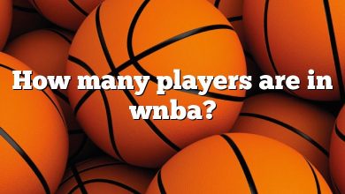 How many players are in wnba?