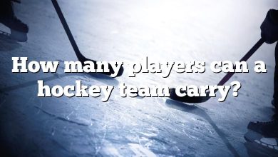 How many players can a hockey team carry?