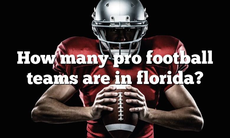 How many pro football teams are in florida?