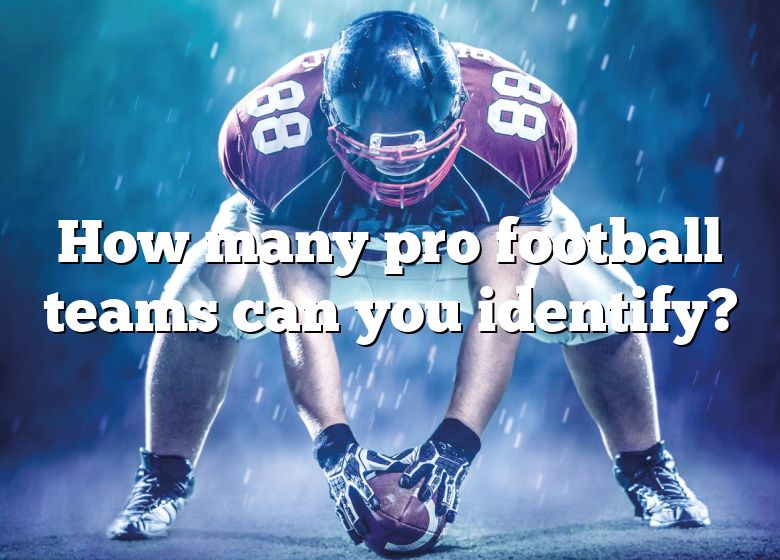 how-many-pro-football-teams-can-you-identify-dna-of-sports