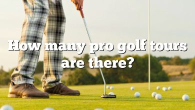 How many pro golf tours are there?