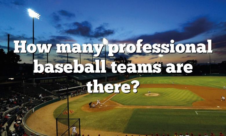 How many professional baseball teams are there?