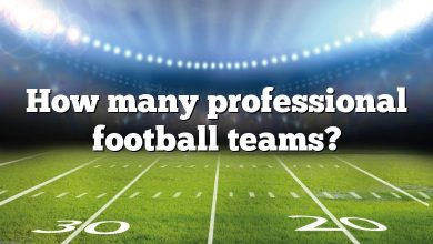 How many professional football teams?