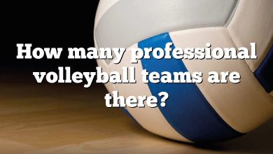 How many professional volleyball teams are there?