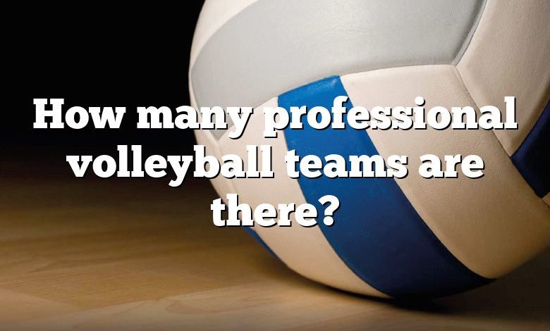 How many professional volleyball teams are there?