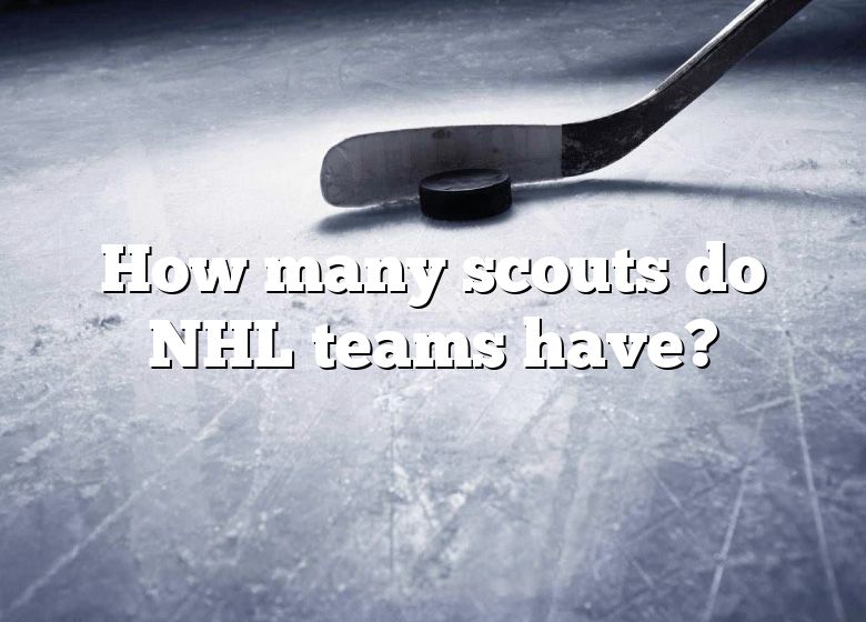 how-many-scouts-do-nhl-teams-have-dna-of-sports