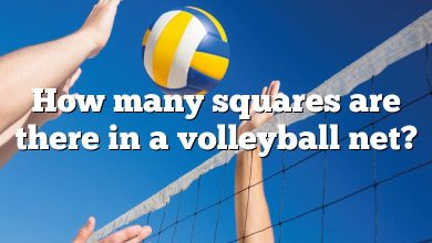 How many squares are there in a volleyball net?