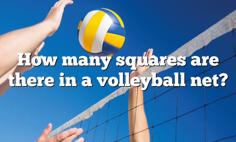 How many squares are there in a volleyball net?