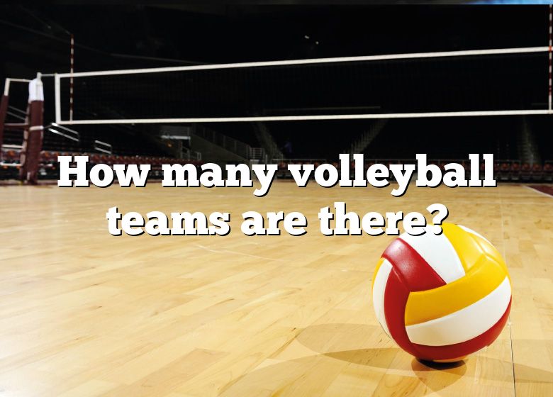 how-many-volleyball-teams-are-there-dna-of-sports