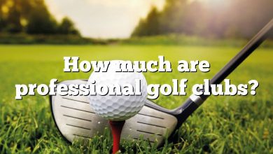 How much are professional golf clubs?