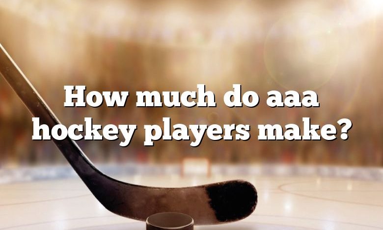 How much do aaa hockey players make?