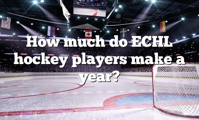 How much do ECHL hockey players make a year?