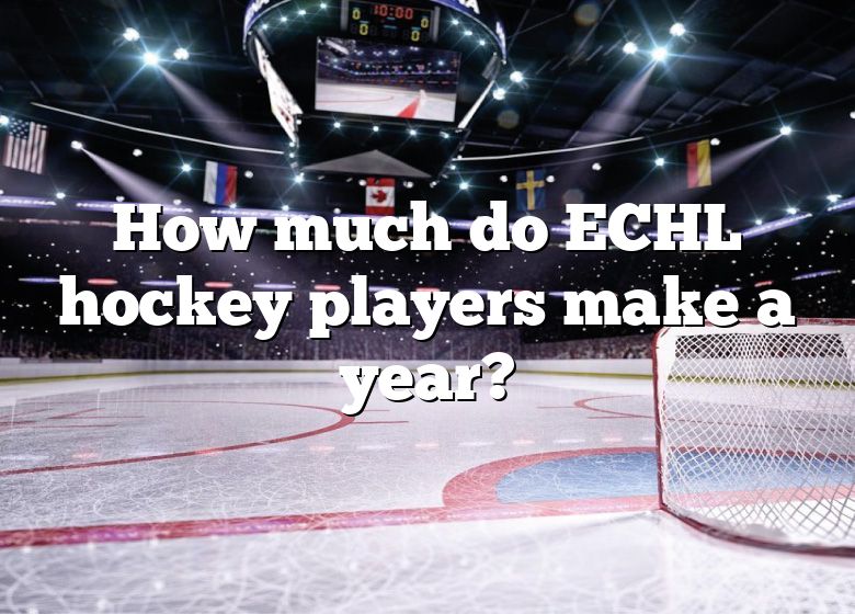 how-much-do-echl-hockey-players-make-a-year-dna-of-sports