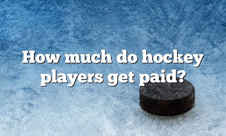 How much do hockey players get paid?