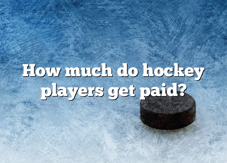 how-much-do-hockey-players-get-paid-dna-of-sports