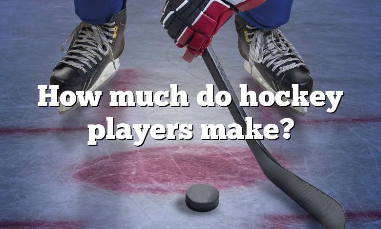 How much do hockey players make?