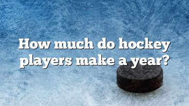 How much do hockey players make a year?