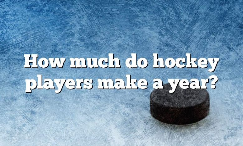 How much do hockey players make a year?