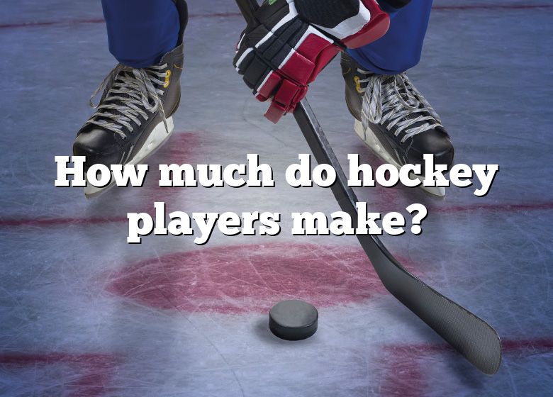 how-much-do-hockey-players-make-dna-of-sports