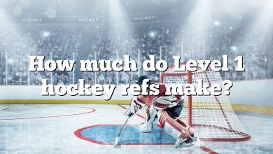 How much do Level 1 hockey refs make?