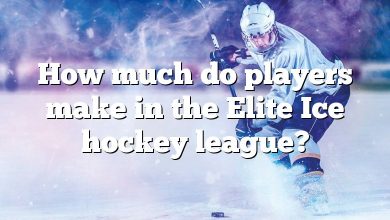 How much do players make in the Elite Ice hockey league?