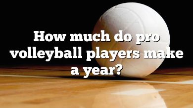 How much do pro volleyball players make a year?