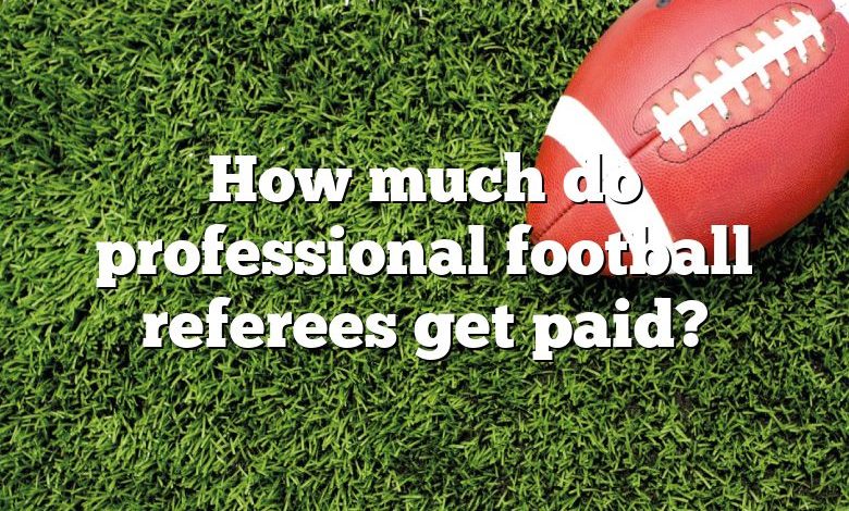 How much do professional football referees get paid?